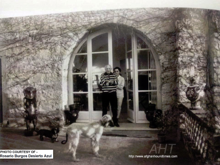 http://www.afghanhoundtimes.comPicasso with Afghan Hound  Kabul 1960's