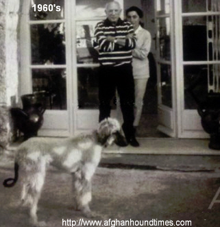 http://www.afghanhoundtimes.com PHOTO Picasso and his Afghan hound  Kabul, 1960's by Edward Quinn