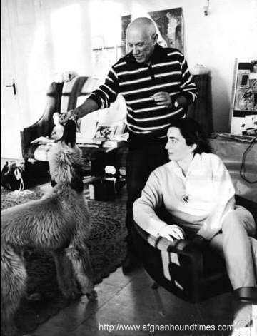 http://www.afghanhoundtimes.com Picasso with Afghan Hound 1962