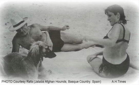 http://www.afghanhoundtimes.com  Picasso with Afghan and Friend 1936