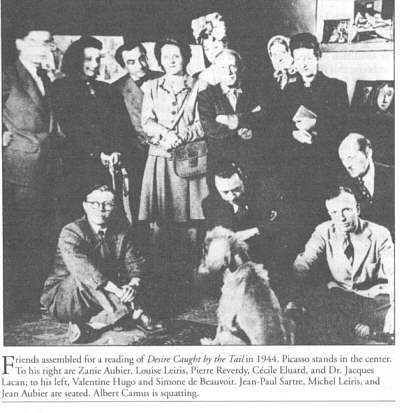 Picasso and Afghan Hounds