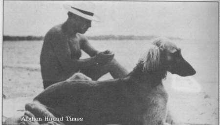 Picasso and Afghan Hounds