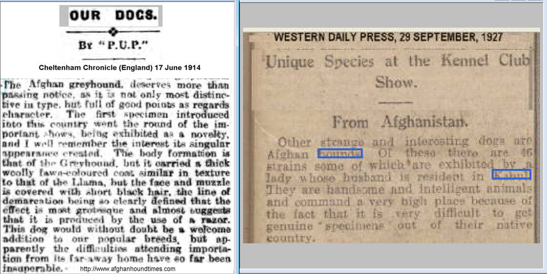 http://www.afghanhoundtimes.com - 1914 - 1927 Misc Press Items