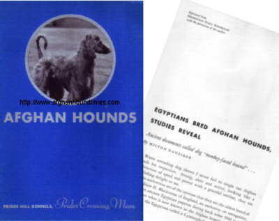 http://www.afghanhoundtimes.com Q A Shaw McKean Afghan Hound Pamplhet