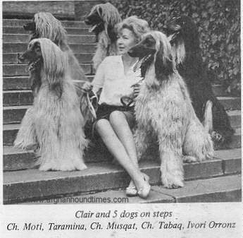 http://www.afghanhoundtimes.com PHOTO Clare Race and her Rifka  Afghan hounds