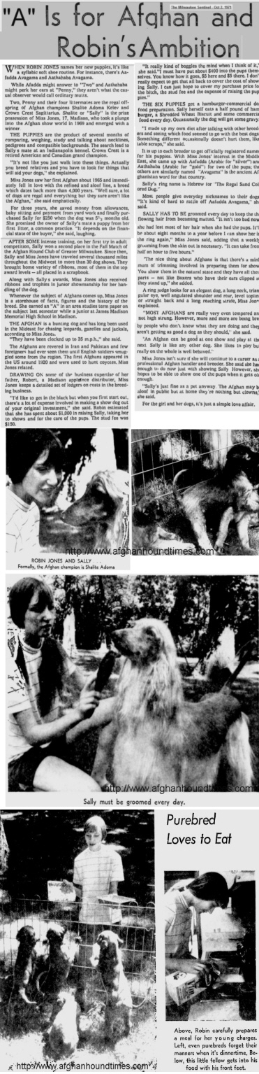 http://www.afghanhoundtimes.com -  Ephemera Page 40, Robin Jones and her Afghan hound Shalite Adoma Keler