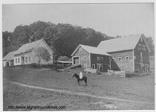 http://www.afghanhoundtimes.com PHOTO  Ellis Farm, East Barnard, Vermont,