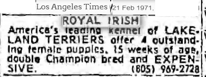 http://www.afghanhoundtimes.com Royal Irish Lakeland Terriers 1971