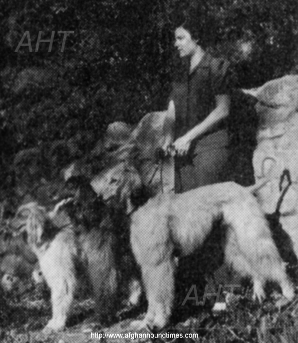 http://www.afghanhoundtimes.com Marietta Baron with Rheta's Roodles Of Royal Irish, Asoka Of Prides Hill and Rana Of Chaman Of Royal Irish
