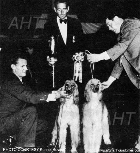 http://www.afghanhoundtimes.com Photo Judge Frank Foster Davis with two Royal Irish afghan hounds USA