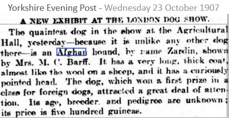 http://www.afghanhoundtimes.com Press Cuttings About Zardin Afghan Hound