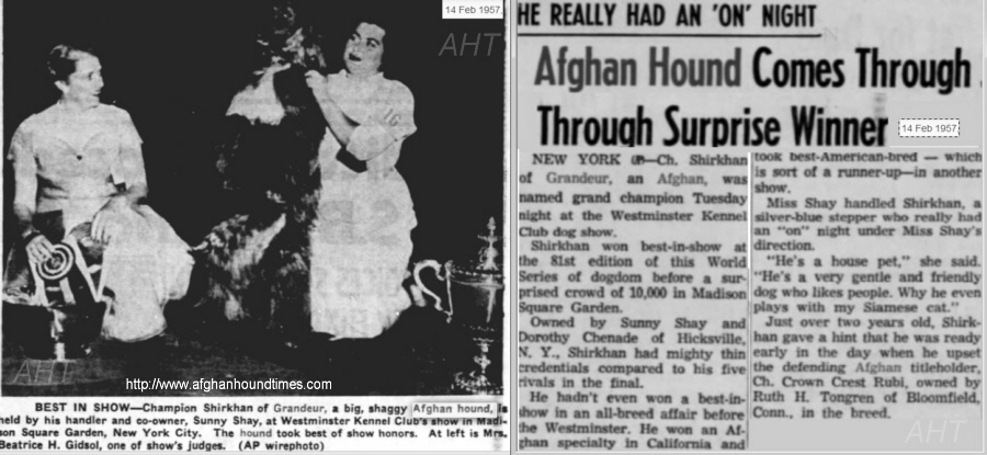 http://www.afghanhoundtimes.com SHOW REPORT2 Shirkhan Of Grandeur WKC 1957