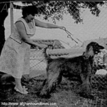 http://www.afghanhoundtimes.com PHOTO Sunny Shay with Shirkhan 1958