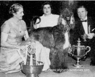 Afghan Hound Times - Photo Shirkhan Of Grandeur Westminser 1957