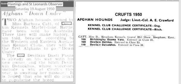 http://www.afghanhoundtimes.com PHOTO Devilkin at Crufts 1950