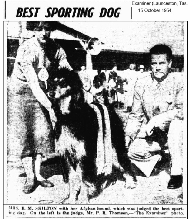 http://www.afghanhoundtimes.com PHOTO Barbara Skilton Best Sporting Dog Launceton 1954