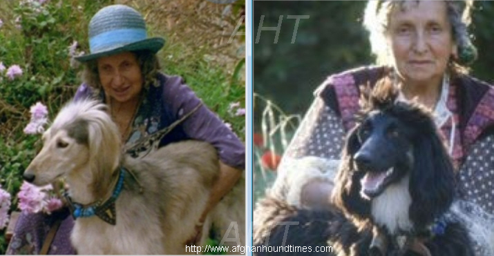 http://www.afghanhoundtimes PHOTO Turkuman 1940's