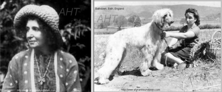 http://www.afghanhoundtimes PHOTO Turkuman 1940's
