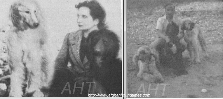 http://www.afghanhoundtimes.com PHOTO Juliette Bairacli Levy and Turkuman Ghuzel Laurel Leaves of Queen Sheba's House