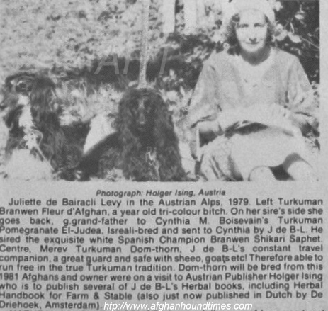 http://www.afghanhoundtimes.com PHOTO Juliette Bairacli Levy and Turkuman Ghuzel Laurel Leaves of Queen Sheba's House
