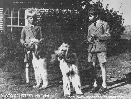 http://www.afghanhoundtimes.com Bayard Warren Barberry Hill first afghan hojnd PHOTO