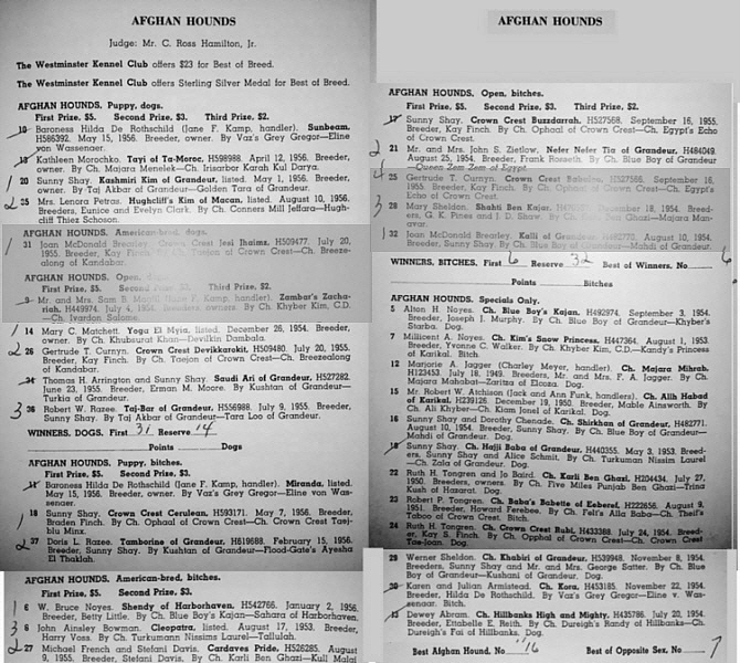 http://www.afghanhoundtimes.com Westminster Show Catalogue Pages (Afghan Hounds (1957) 
