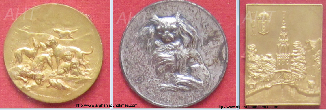 http://www.afghanhoundtimes.com PHOTO Medals won by Barroness de Westenholz at Europen dog shows 1920's