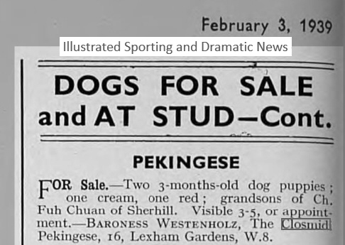 http://www.afghanhoundtimes.com CLOSMIDI PEKES ADVERT 1939