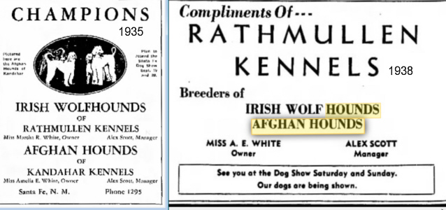 Afghan Hound Times - Kandahar Kennels,Kennel Adverts 1935 and 1938