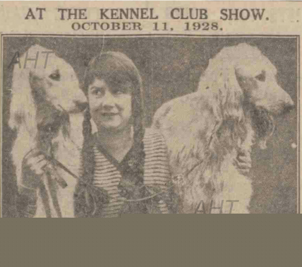 http://www.afghanhoundtimes.com, PHOTO  Beryl  Fox Wyke Afghan hounds UK