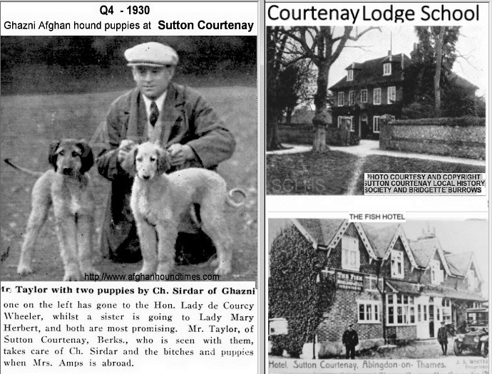 http://www.afghanhoundtimes.com Mr. Taylor with Ghazni puppies The Fish Pub, Courtenay Lodge School, Sutton Courtenay 1930