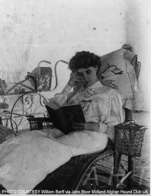 http://www.afghanhoundtimes.com Photo Mrs Barff (Zardin) relaxing reading a book, Cawnpore, India
