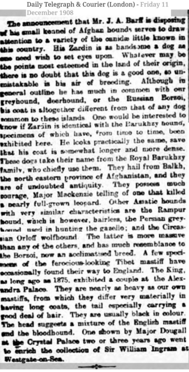 http://www.afghanhoundtimes.com Press Cuttings About Zardin Afghan Hound 1908