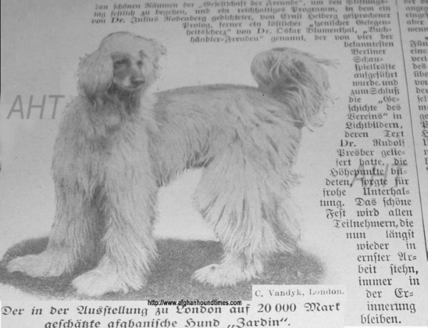 http://www.afghanhoundtimes.com Zardin PHOTO/GERMANY PUBLICATION