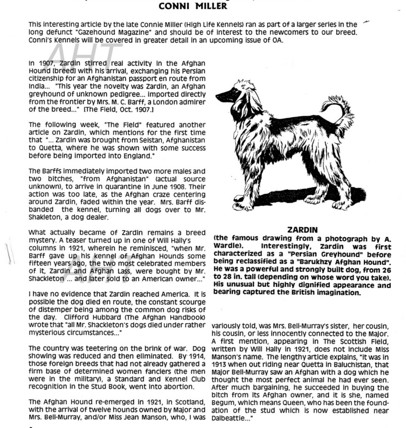 http://www.afghanhoundtimes.com Zardin by Connie Milller